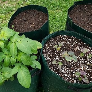 Small manufacture image 4