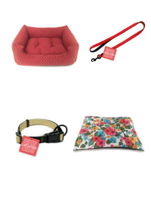 Triangle Harness for Small Dogs - Size S1 - 14 x 13 x 4 cm - Eyes Design - Very Resistant and Comfortable - Reduces Pulling - Dog Accessories 12 arnes perro, perros accesorios, cama perro, colchon perro, colchoneta perro, collar perro