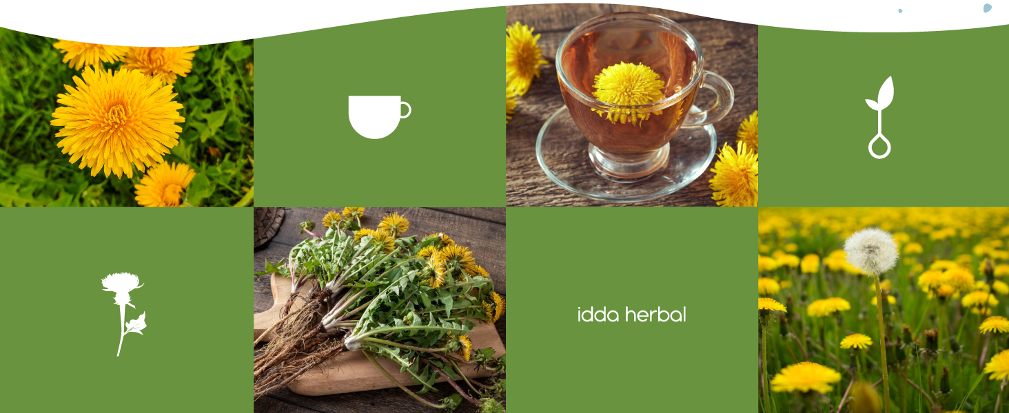 logo idda herbal fr