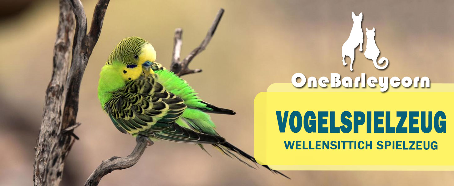 Wellensittich Spielzeug