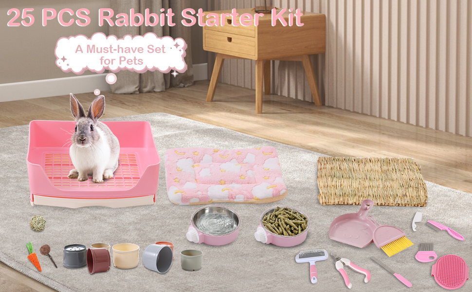 Rabbit Starter Kit