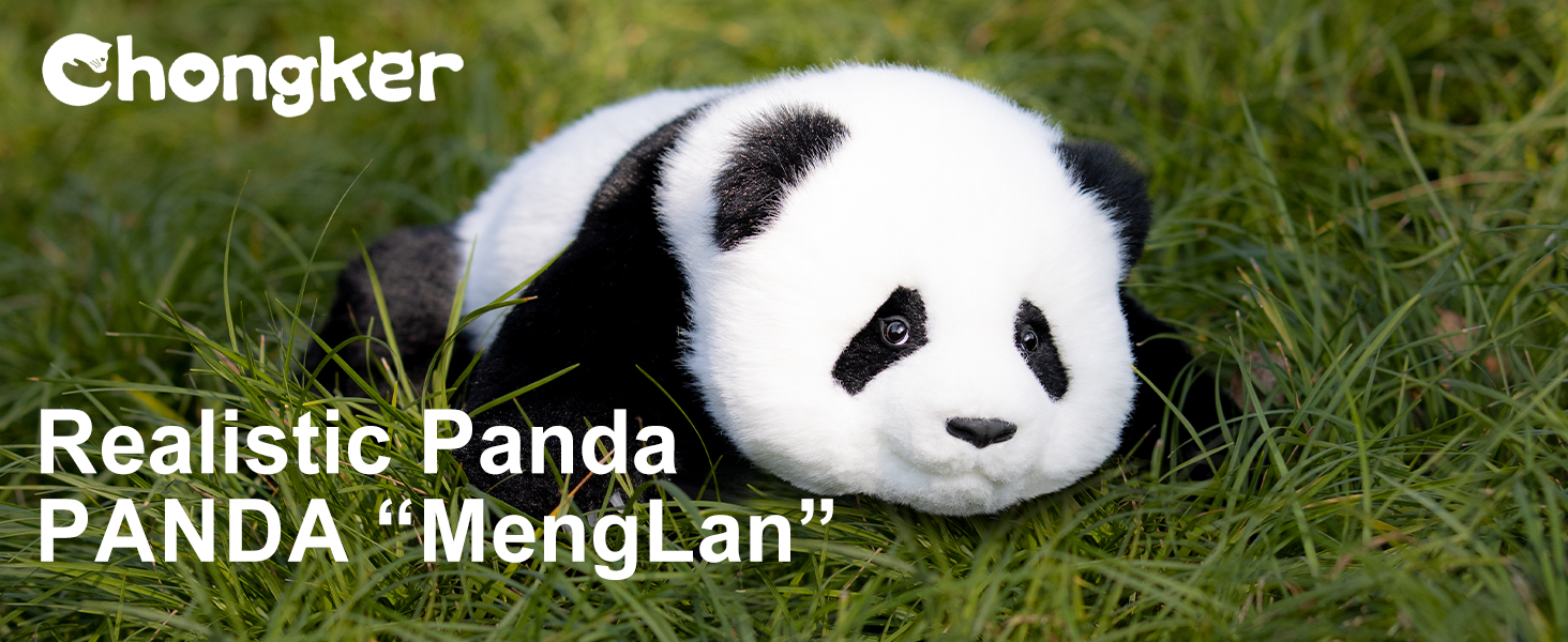 chongker panda