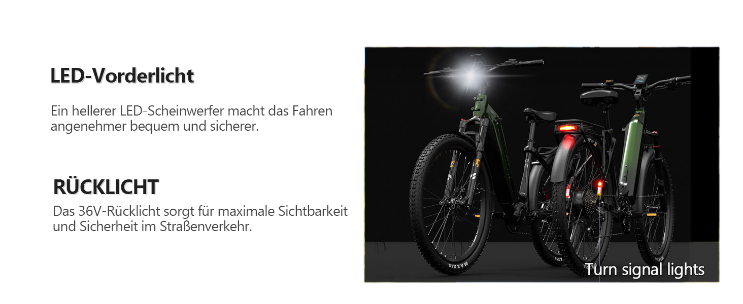 elektrofahrrad
