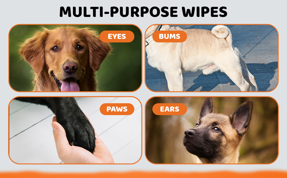 multi purpose dog wipes dog cleaning easy grooming large wipes dog shampoo dry wash shampoo bathing 