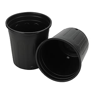  plastic nursery plant pots