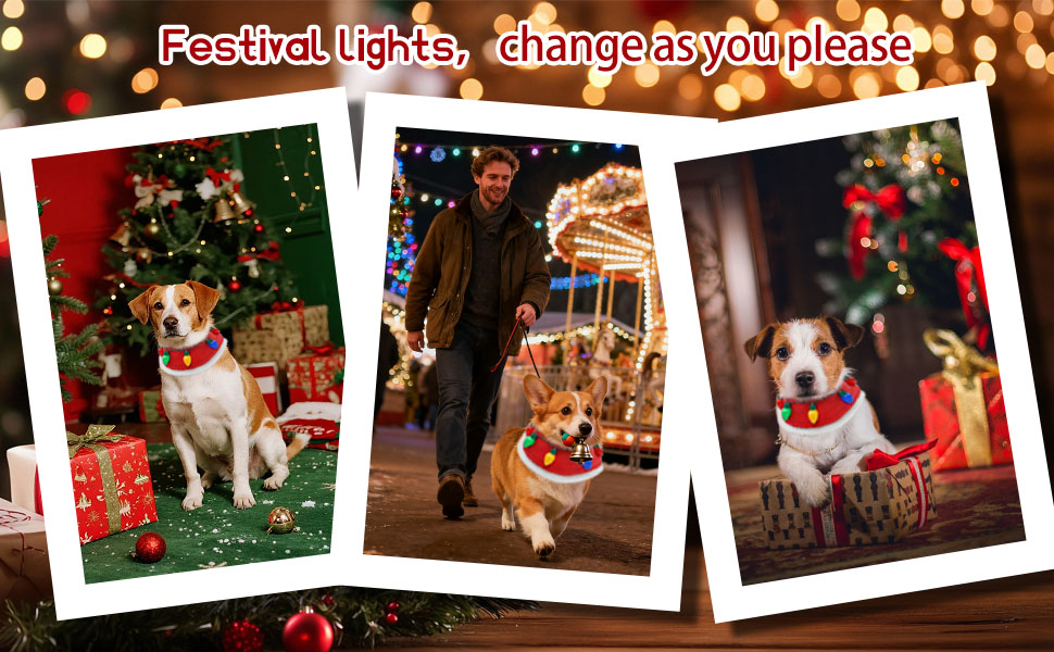 dog christmas collar