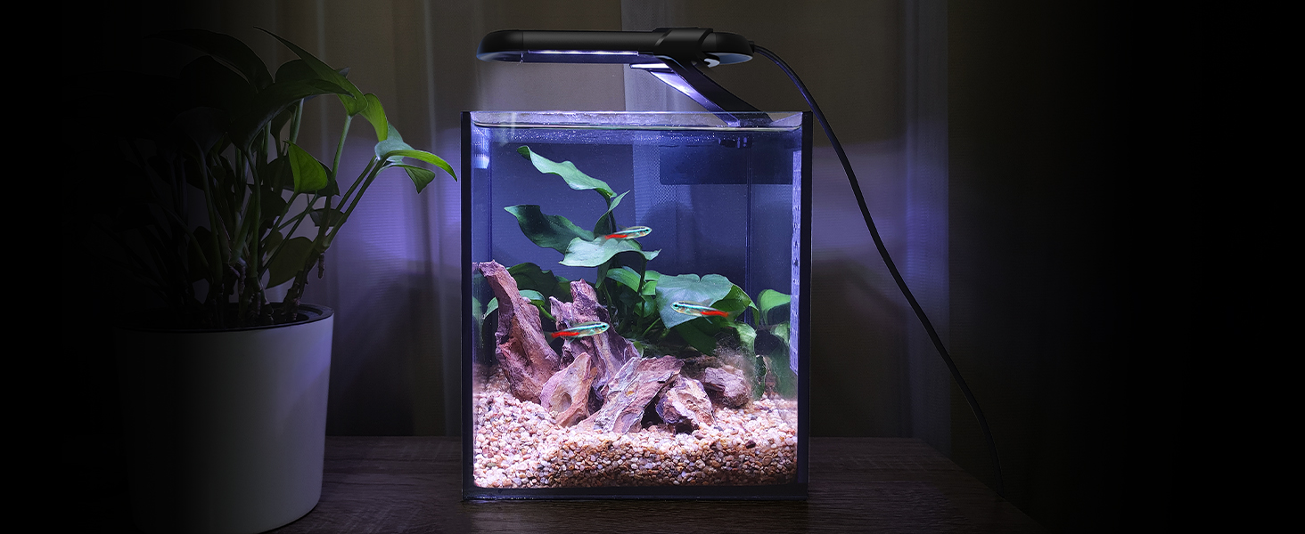 NICREW RGB+W Clip on Aquarium Light, LED Fish Tank Light, 14 Lighting