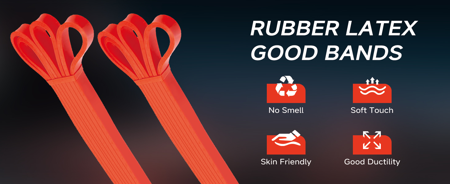 Lysole Resistance Bands,Exercise Bands for Working Out