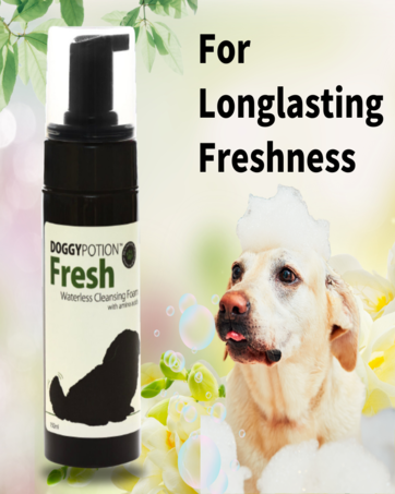 Amazon | [PUPPYPOTION] 犬用 シャンプー 天然成分100