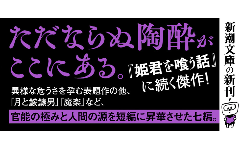 ☆ 『宇野浩二全集』 全12冊揃　＋　『西遊記物語』　セット　中央公論社　月報揃 ☆ 『宇野浩二全集』 全12冊揃 ＋ 『西遊記物語』 セット 中央公論社