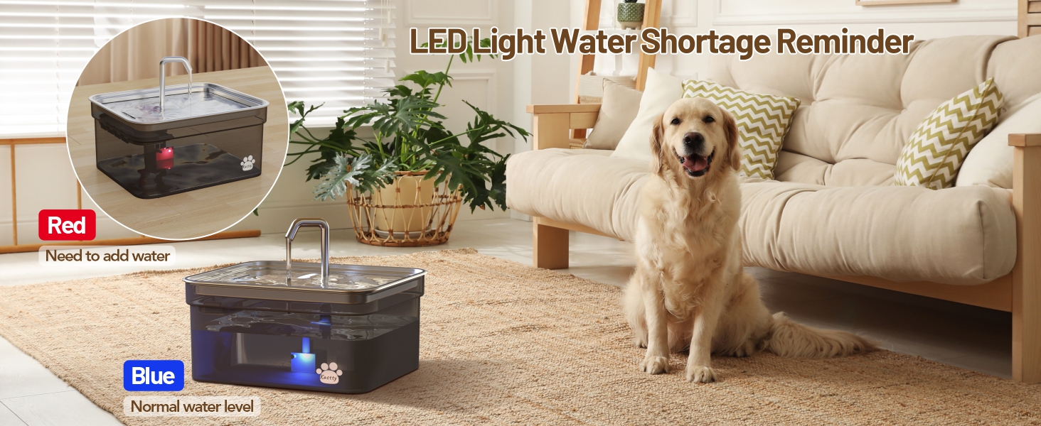 dog water bowl