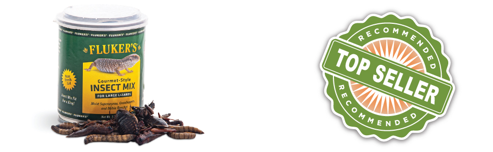 Can of insect mix with grasshoppers, superworms, and dubia roaches pictured to the side of jar