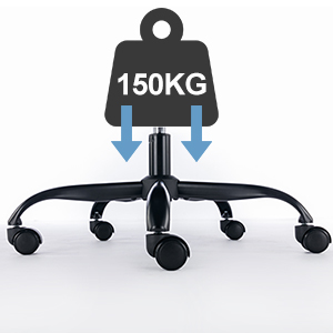 Ergonomic Office Chair