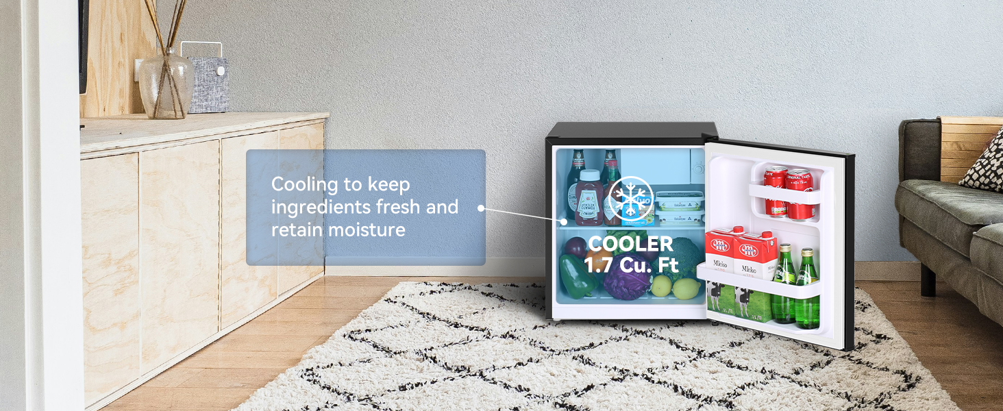 Mini Fridge with Freezer