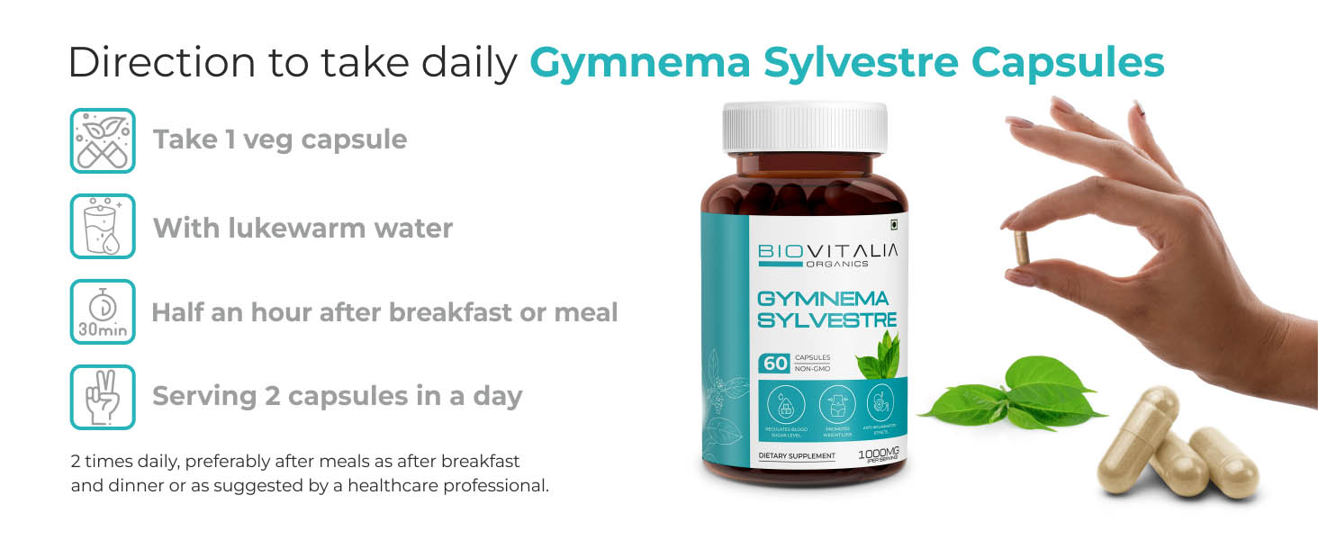 Gymnema Sylvestre Capsule 1000mg