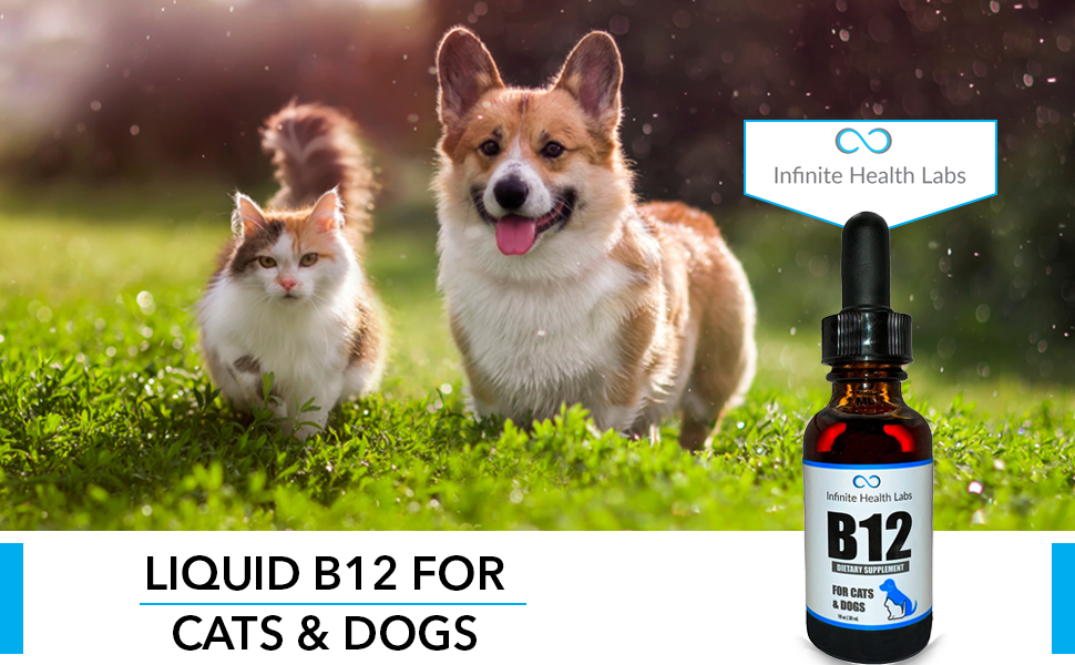Liquid Vitamin B12 for Dogs and Cats Vet Formulated Effective for All Animals