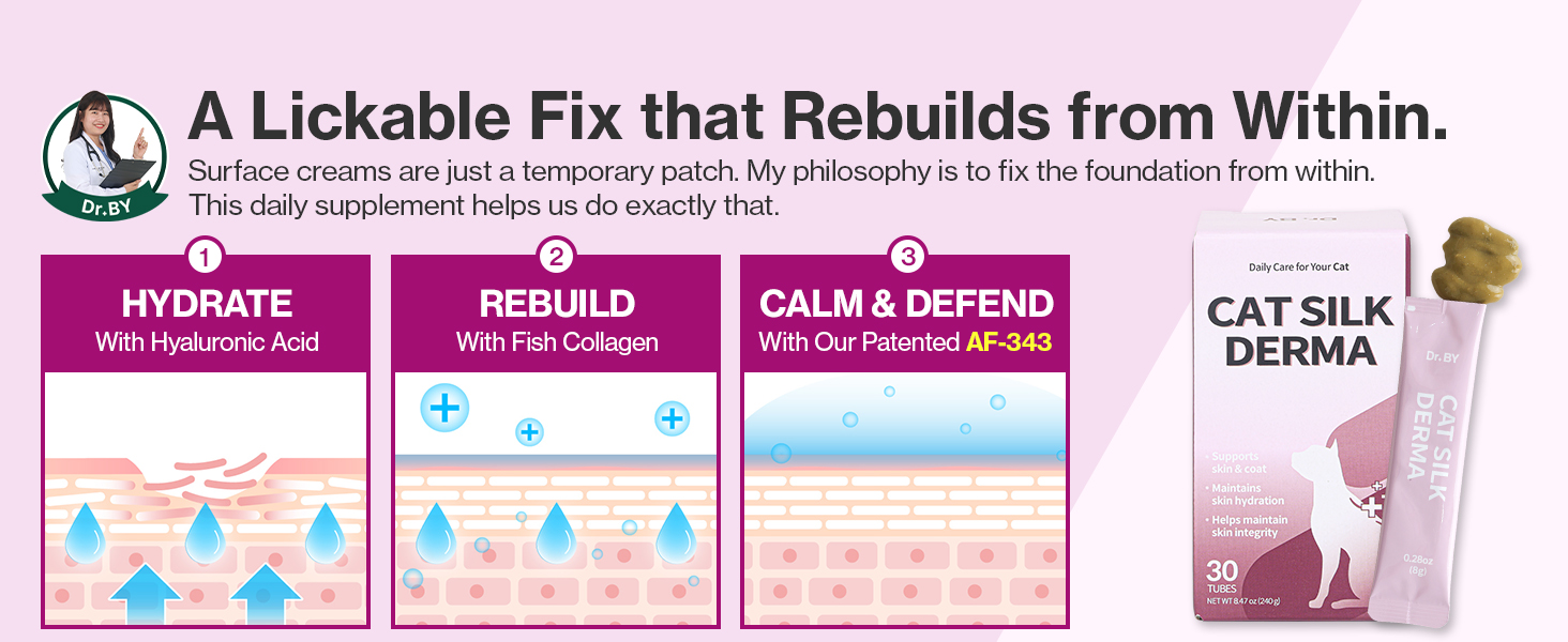 overgrooming bald patches flakes itchy skin cat coat health glossy coat skin hydration