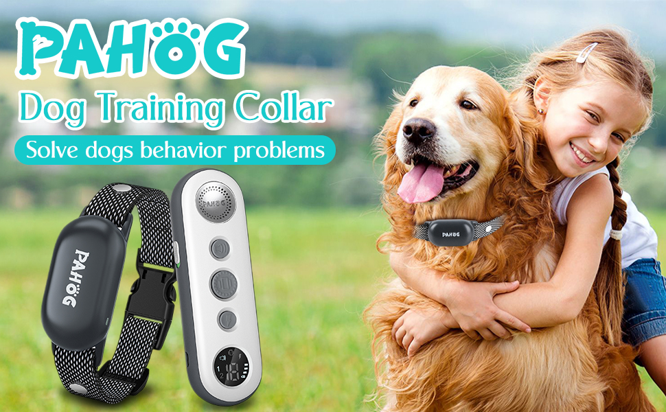 dog collar