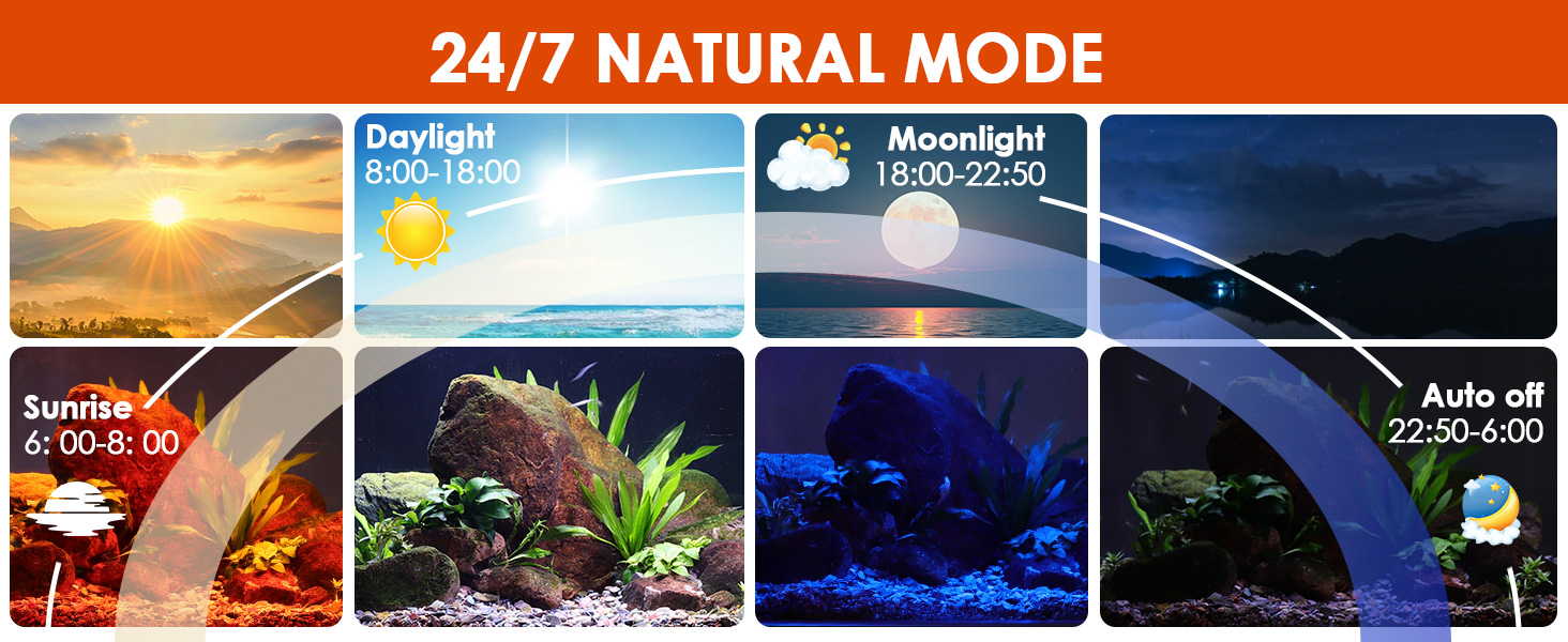 Der Text lautet „24/7 NATURAL MODE“. Reihe von Naturszenen, die den Übergang von Nacht zu Nacht mit Sonnenaufgang, Tageslicht, Sonnenuntergang und Nachtszenen im Panoramaformat zeigen.