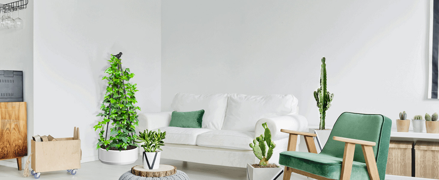 climbing plant trellis