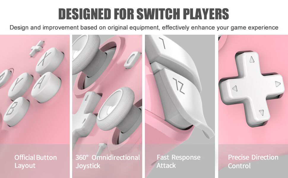 pro controller switch