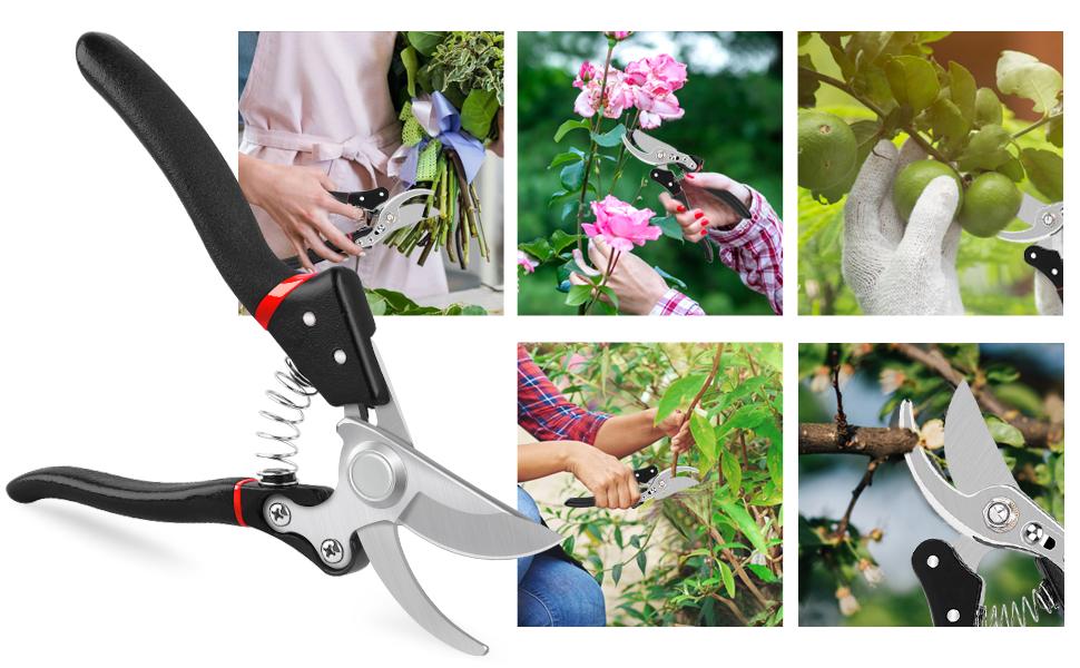 Pruning Shears