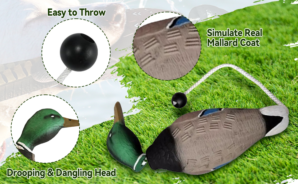 Duck Hunting Dog Accessories