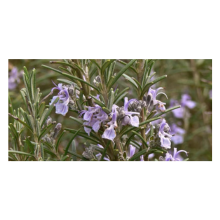 Keauty Lifestyle - Hair Rehab