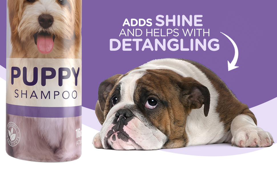 Wagzer Pets Puppy Shampoo Gentle Dog Shampoo for