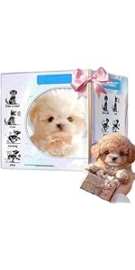 Robot Dog Model 4