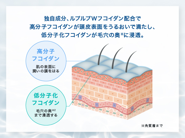 Amazon | 【白髪に3分/選べる5色】 ルプルプ LPLP エッセンス