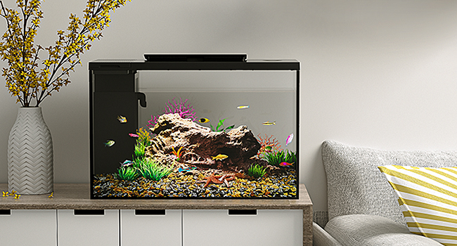 メーカーさんアウトレット水槽 Amazon | ERAARK水槽 アクアリウム ベタ水槽セット 熱帯魚