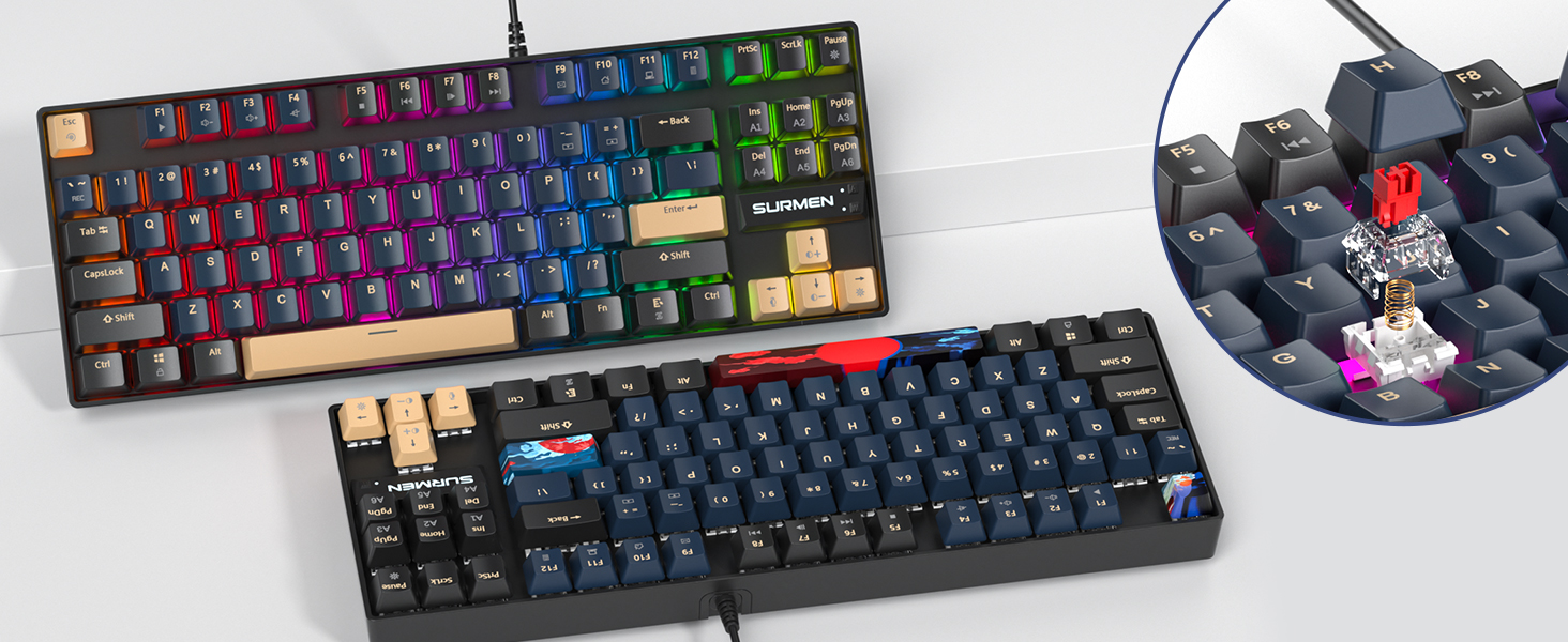 Blue Samurai/Red Switches