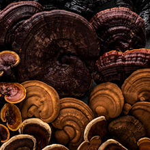 Small manufacture image 8