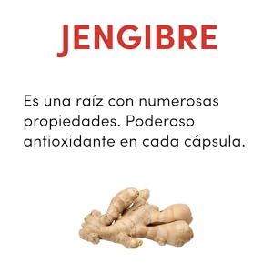 jengibre gengibre ginger root raiz digestion superfood nutriente capsulas saludable healthy