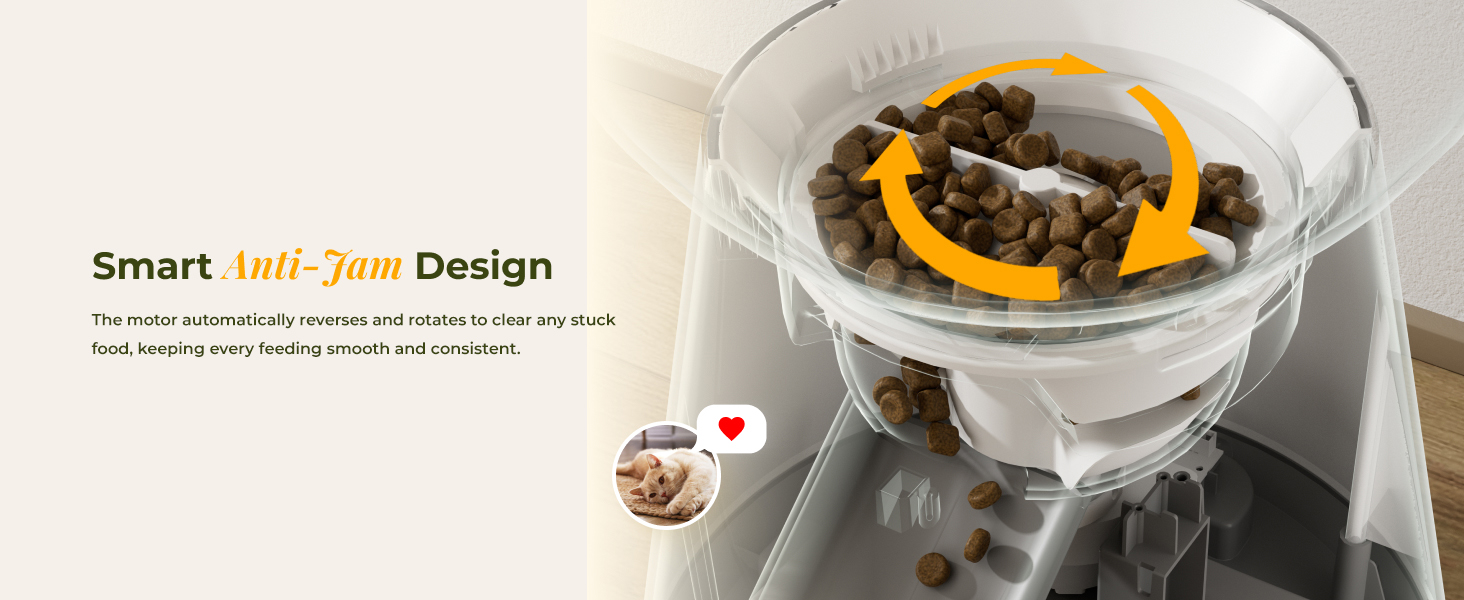 outdoor automatic cat feeder