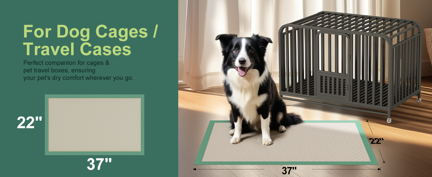 Puppy Pee Pad for Dog 30 Counts Disposable Pet Training Pad