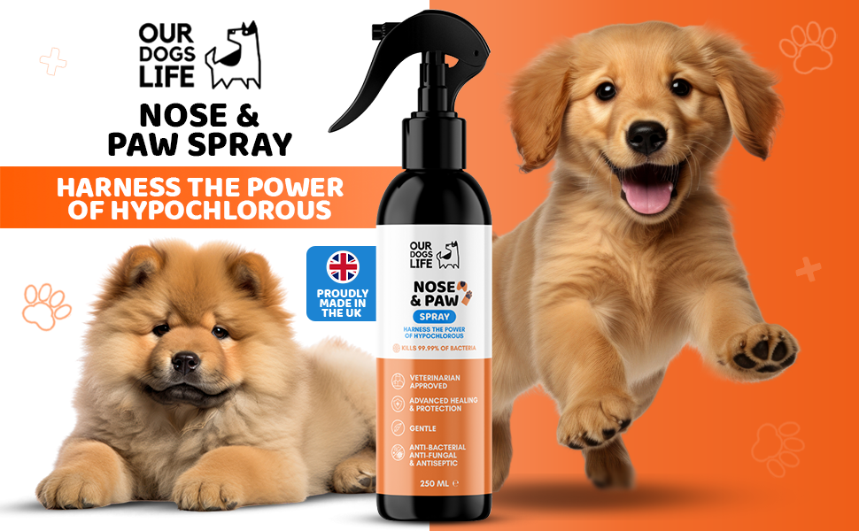 DogsLife Nose & Paw Dog Antiseptic spray 250ml Antibacterial