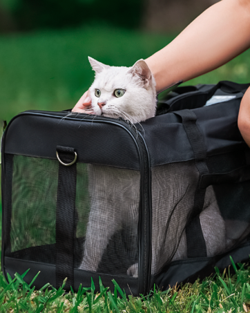 springframe metal frame cat carrier bag