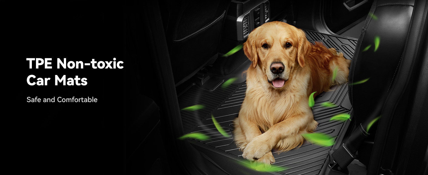 pet friendly floor mats