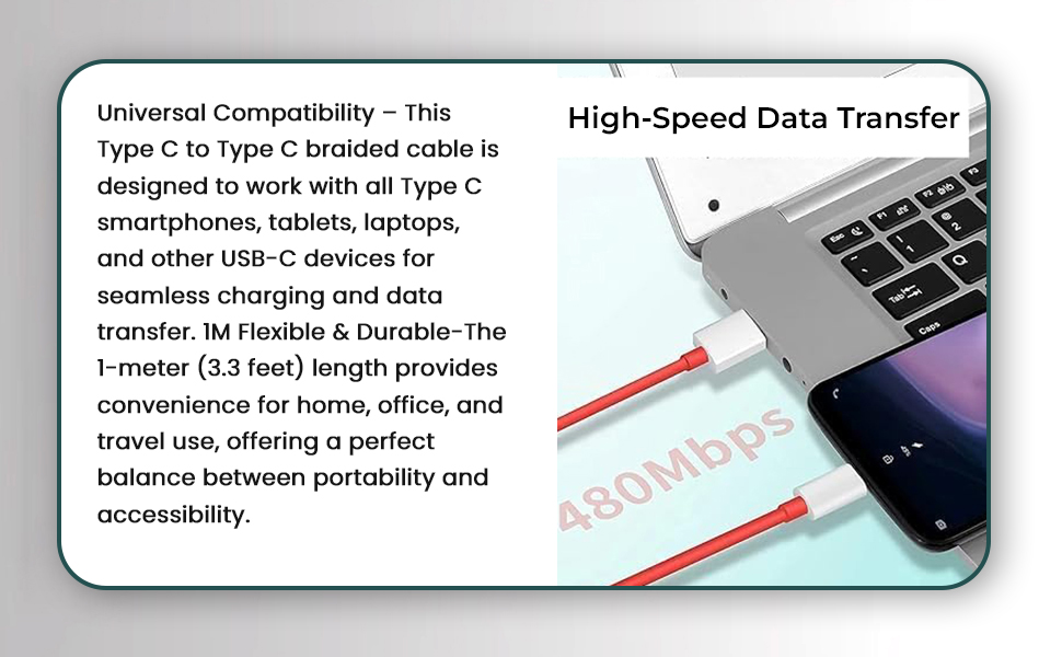 Fast Charging USB-C Cable 1 Meter-BI1A9