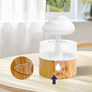 Rain Cloud Humidifier
