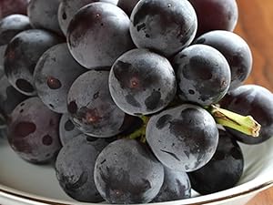 Amazon.co.jp: ITANSE ぶどう 巨峰の苗木【果樹 2年生苗15～18cm