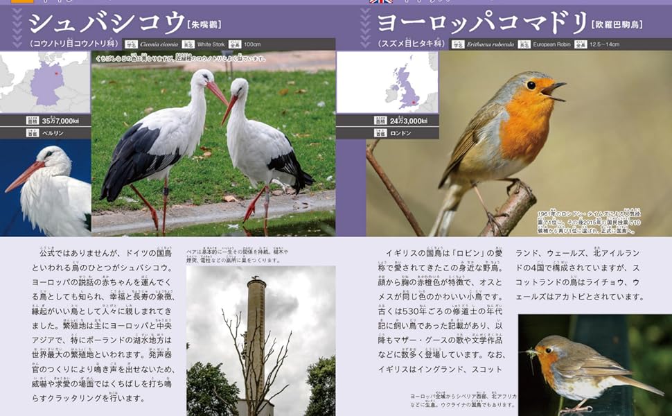 せかいの国鳥 にっぽんの県鳥 | 小宮輝之, ポンプラボ |本