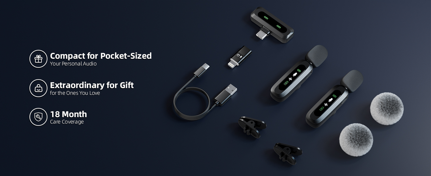 mini mic