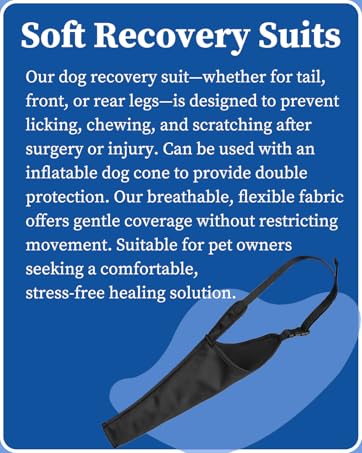 dog recovery suit