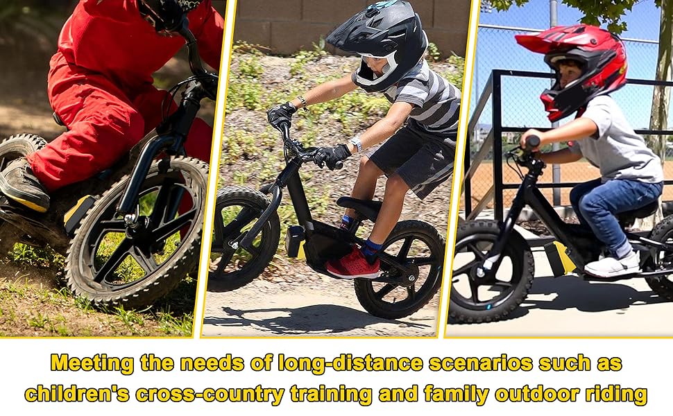  for Stacyc 12 and 16 for Dewalt 20v Battery Adapter