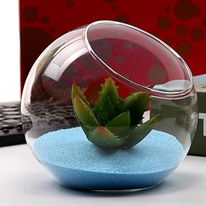 planter terrariums