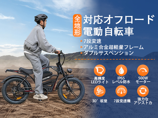 NINOMA 電動自転車 電動アシスト自転車 NINOMA 電動自転車 電動アシスト自転車 レトロ調 電動ファット
