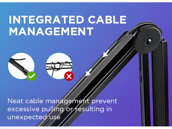 InnoGear mic arm